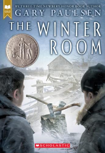 THE WINTER ROOM