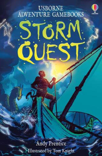 STORM QUEST CN