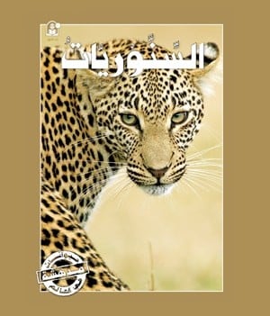 قصص:سلسلة حيوانات مدهشة في العالم:السنوريات