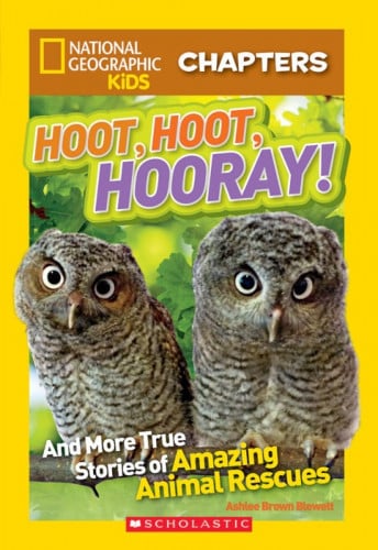 National Geographic Kids: Chapters: Hoot, Hoot, Hooray!