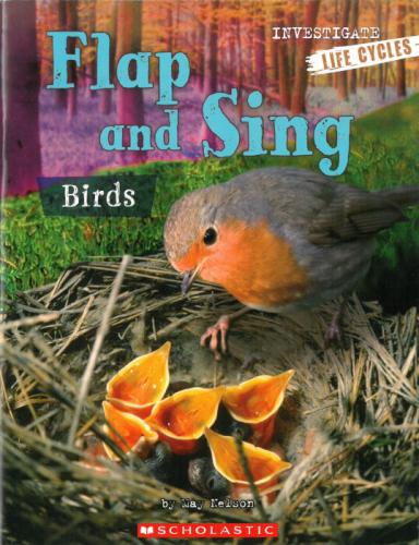 Flap and Sing: Birds