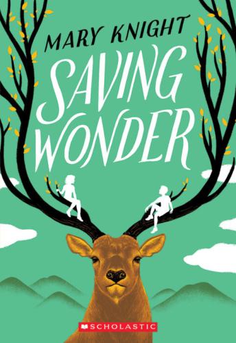 SAVING WONDER