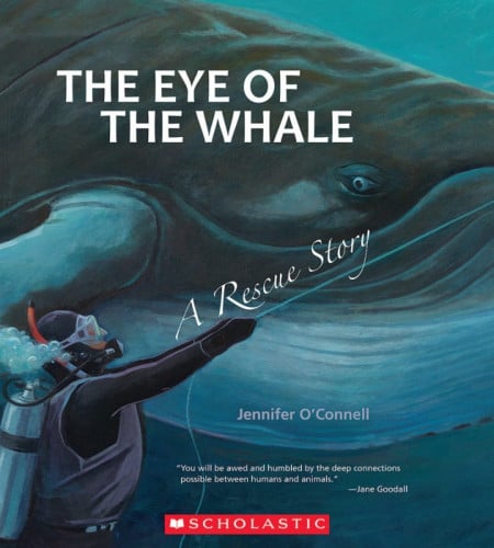 The Eye of the Whale