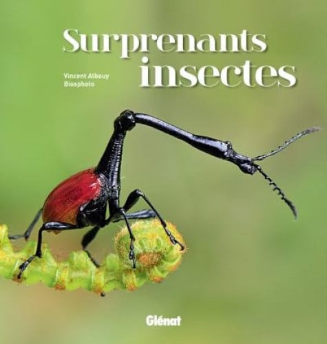 Is This a Real Animal?