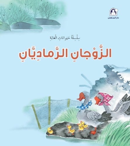 الزوجان الرماديان - حيوانات الغابة