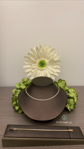 [213] لون ذهبي