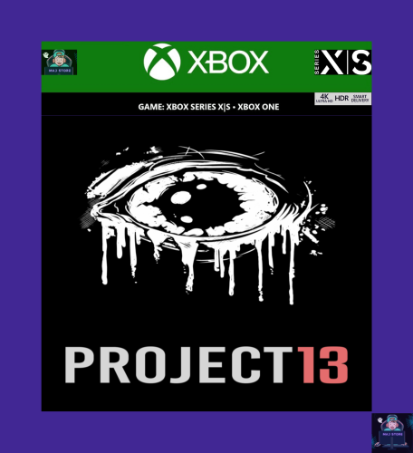 PROJECT 13