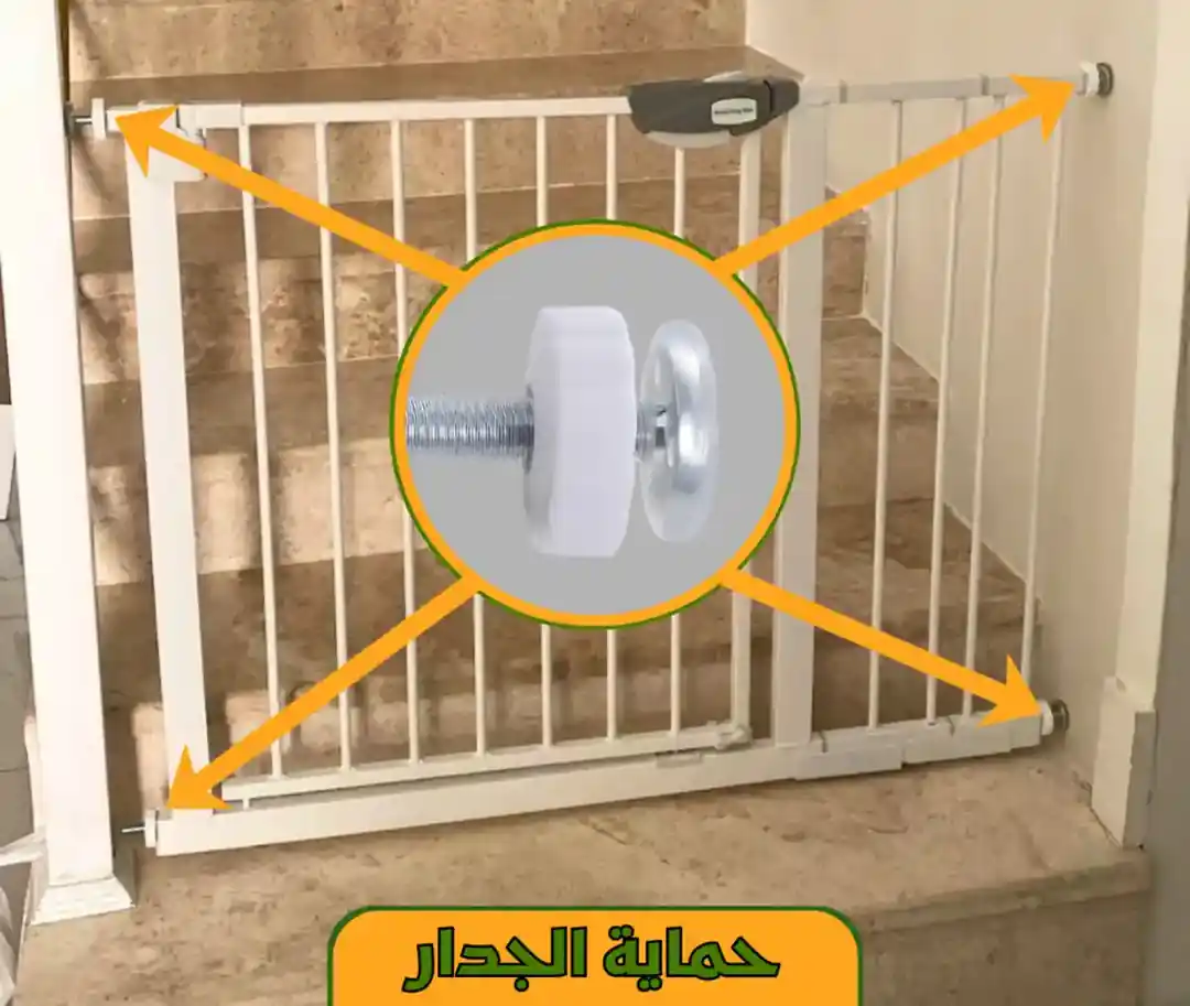 حماية الجدار