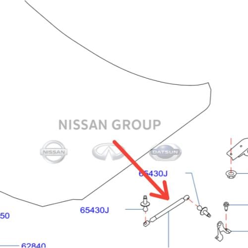 مساعد كبوت مكسيما  2016/2018