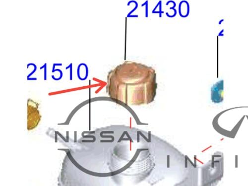 غطاء قربة ردينر نيسان صني المكسيكي