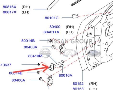 شداد باب امامي  مكسيما 2016/2022