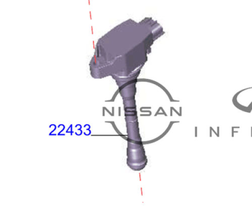 كويل بواجي التيماء 2019/2025