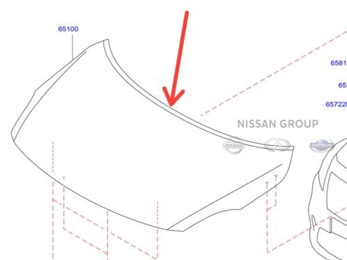 كبوت صني الهندية 2015/2023
