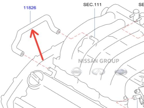 لي بخار مكسيما 2000/2008