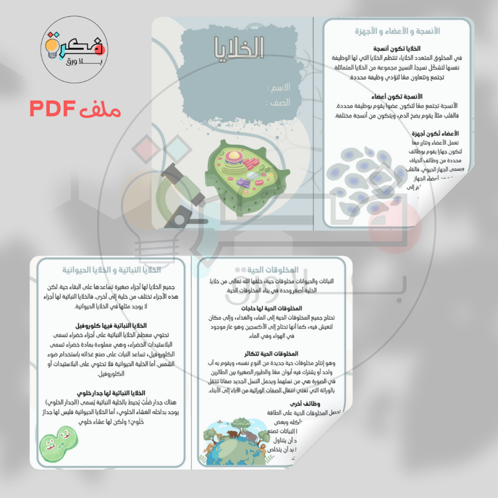 جميع مطويات و مشاريع رابع ابتدائي الترم الاول