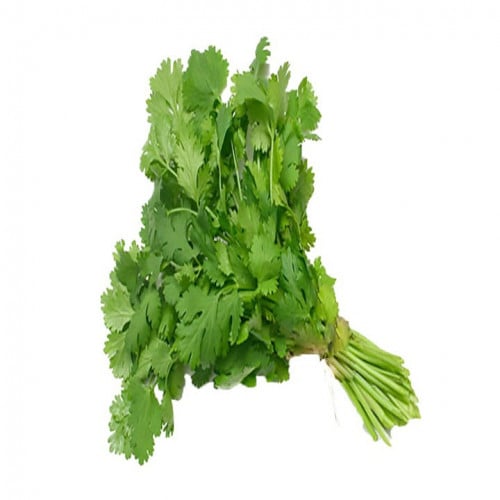 بذور نبات الكزبرة
