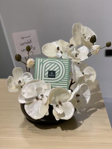 فازة الباتشي