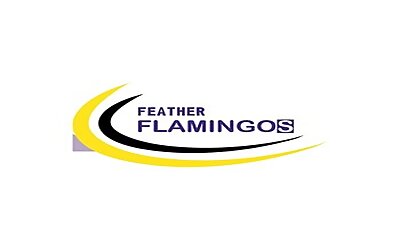 فيذر فلامنجو | FEATHER