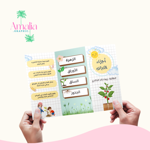 النباتات و اجزائها ( ثالث ابتدائي )