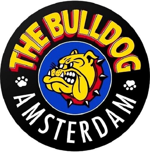 بول دوق -  THE BULLDOG