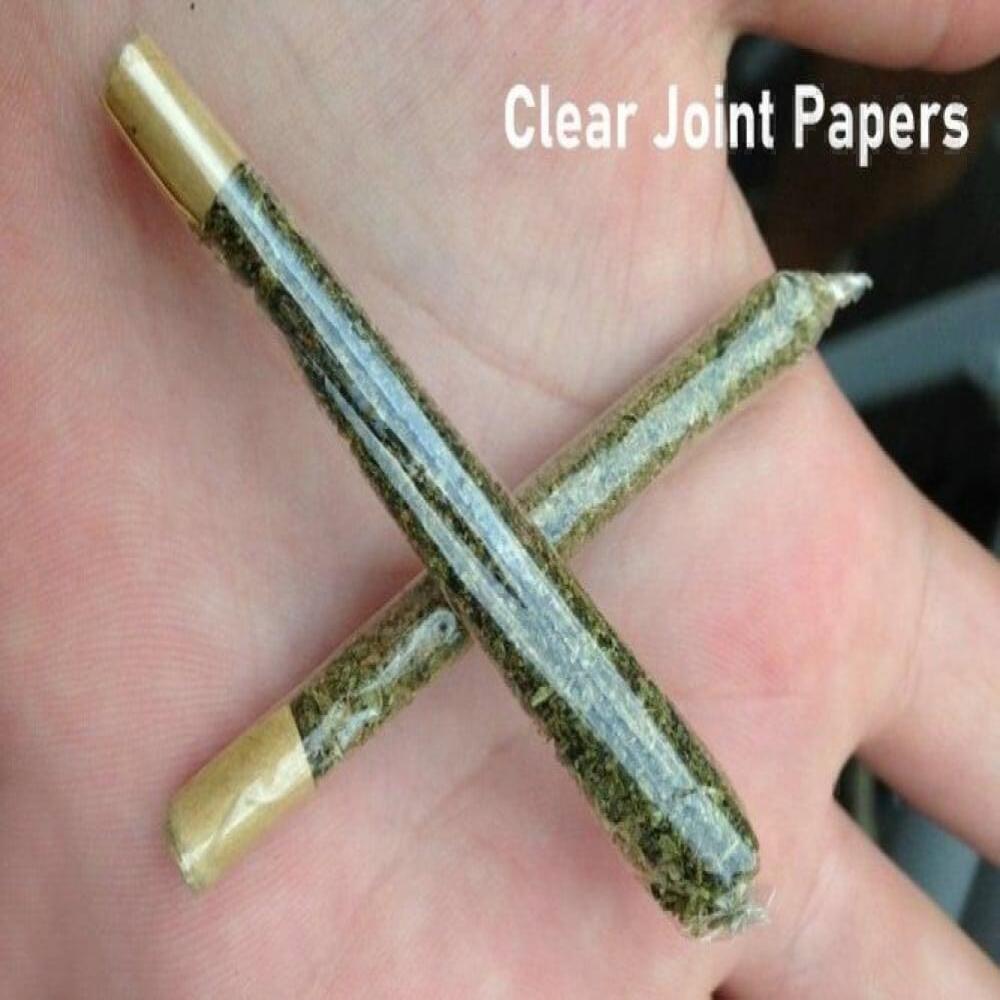 دفتر سيثرو الشفاف - مقاس وسط 1 14