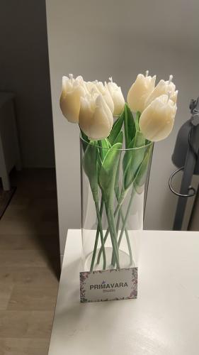 فازه+8شمعات توليب معطره(لون اختياري)