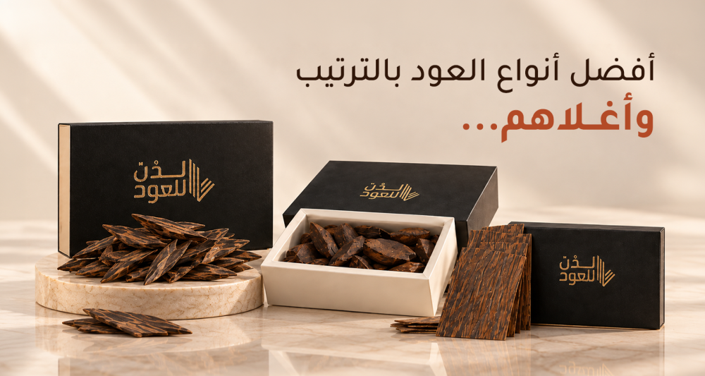 أفضل أنواع العود بالترتيب وكيف تختار الأنسب لك