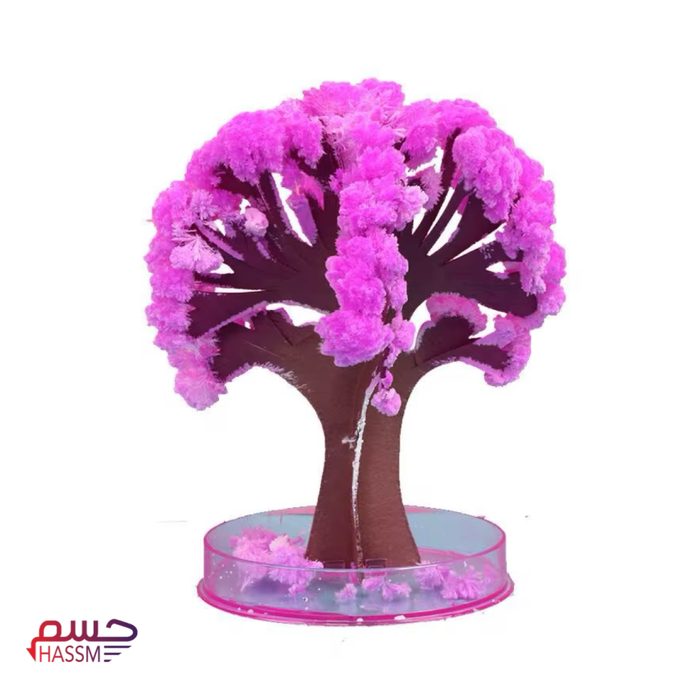 شجرة القطن