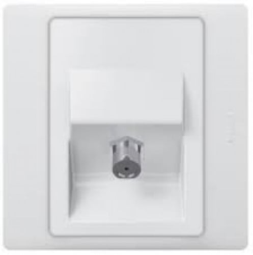 فيش تلفزيون ذكر