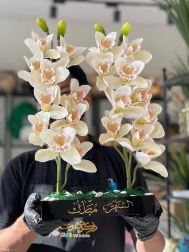 فازة سمبيديوم