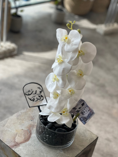 فازة ورد الأوركيد زجاج