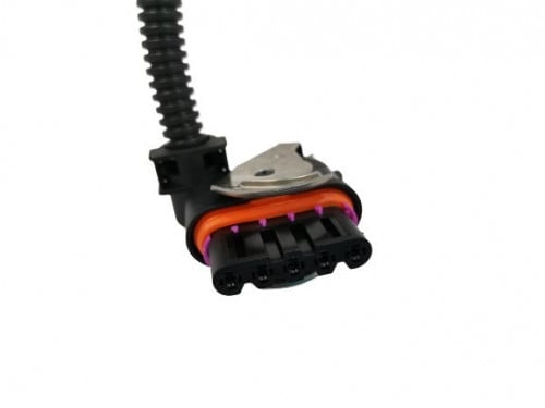 فيش دينمو اكتروس