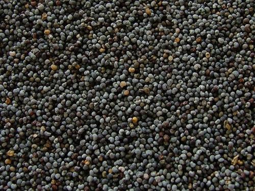 بذور البوب سيد(Poppy seed)