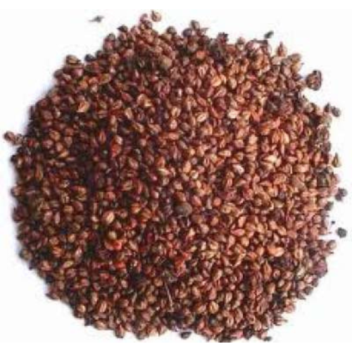 بذور العنب