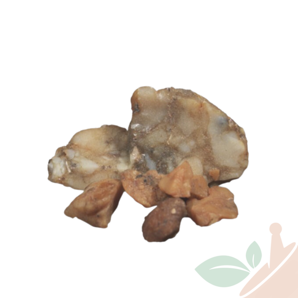 فاسوخ مغربي