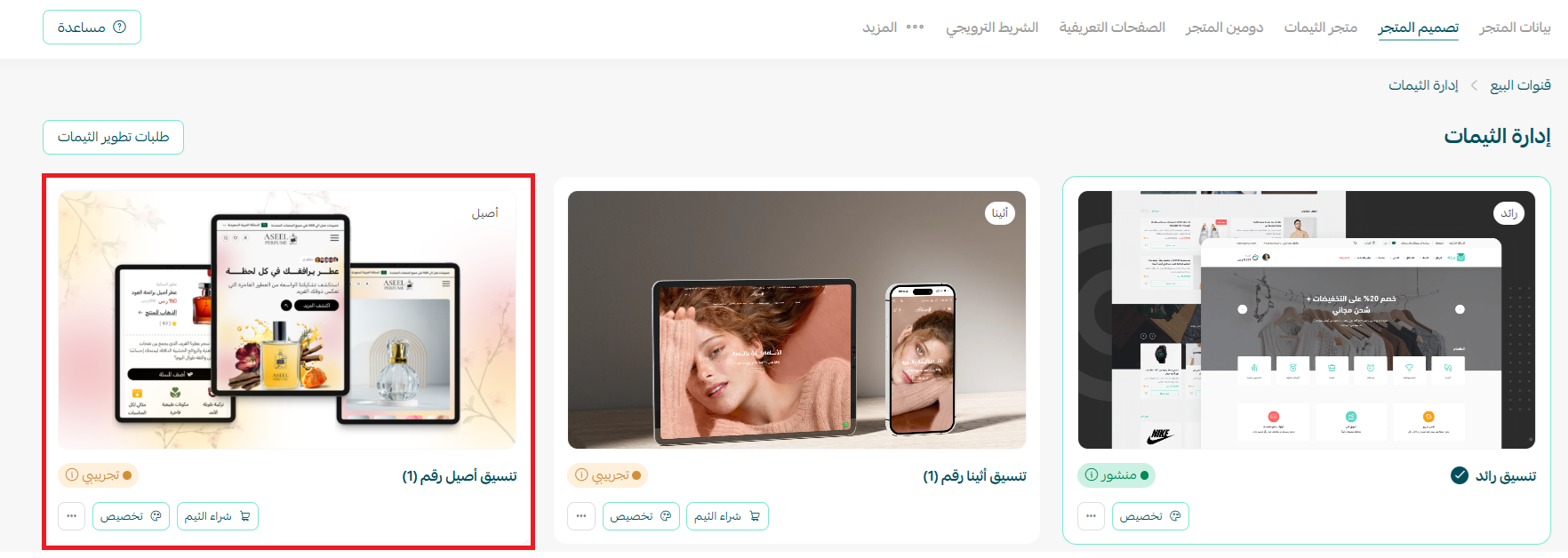 إدارة الثيمات وتخصيصها وحماية محتوى المتجر
