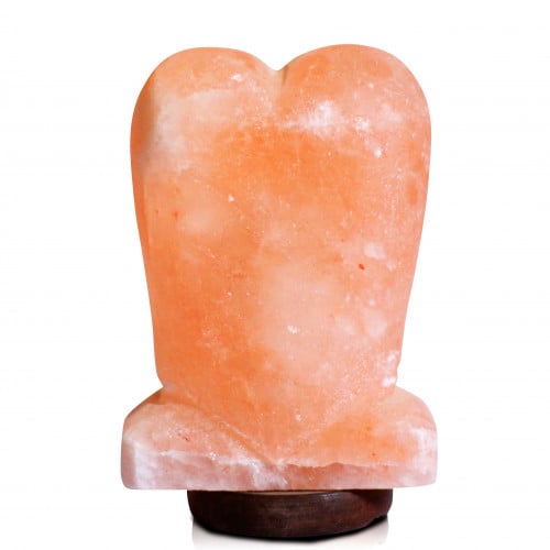 مصباح من ملح الهيمالايا M