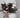 customer