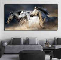 صورة للخيول العربية بدون إطار