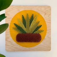 لوحة الصبار