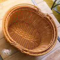 4461 سلة رحلات بشكل بيضاوي (مقاسين)