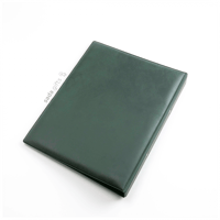 ملف عرض معاملات جلد جاهز - أخضر