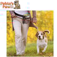 حقيبة تدريب مكافآت الكلاب - تحمل ألعاب الحيوانات ا...