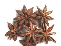 نجمة الينسون