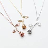 سلسال وردة الجوري