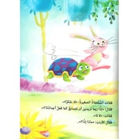 أمنية سلحفاة