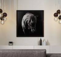 لوحة خجيلان-لوحات جدارية خيل.