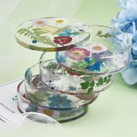 ورد مجفف مجموعة رقم 6