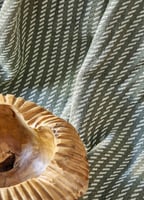 طقم مفارش مزدوج كينج سايز Vella لون أخضر