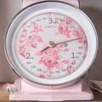 0772 ميزان ريترو معدني أنيق من إزابيل روز 3kg (زهر...